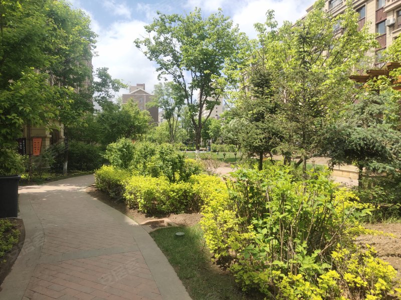 飞达紫金湾,东镇大路-松原飞达紫金湾二手房,租房,房价-松原安居客