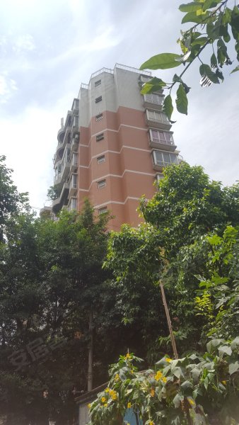 竹园小区(江北),宏帆路3,7号-重庆竹园小区(江北)二手房,租房,房价