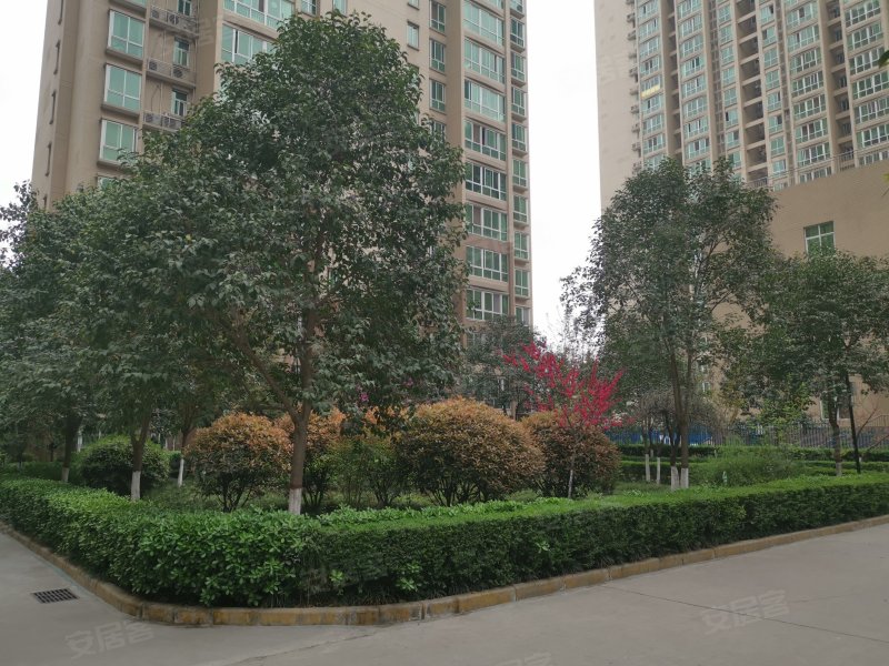 旭景新港,汉城南路100号-阜阳旭景新港二手房,租房,房价-阜阳安居客