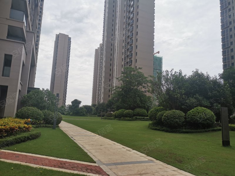 新力花园,惠泽大道六路-惠州新力花园二手房,租房,房价-惠州安居客