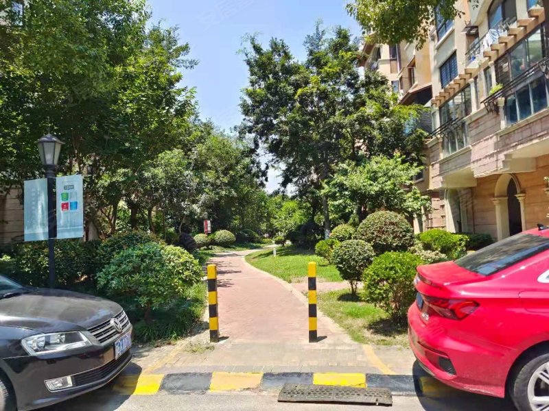 阿卡迪亚(五区)