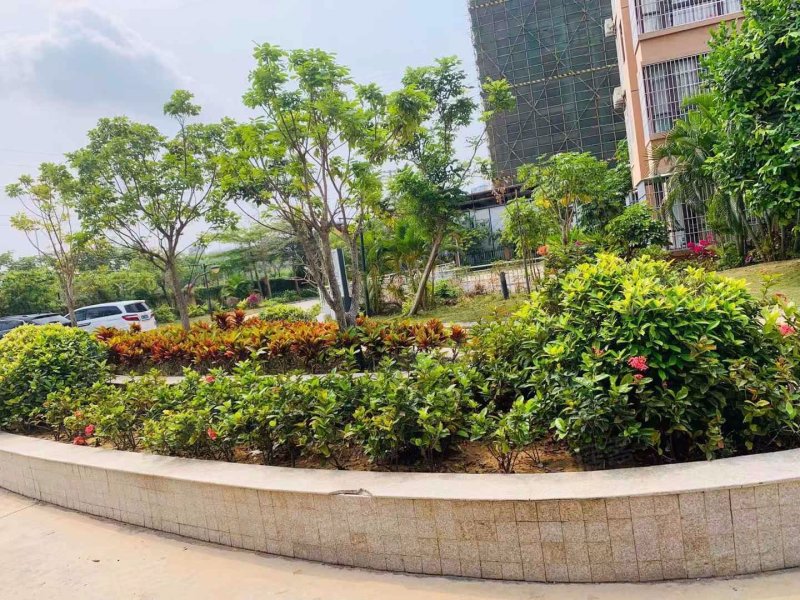 荔枝苑,师部农场路-三亚荔枝苑二手房,租房,房价-三亚安居客