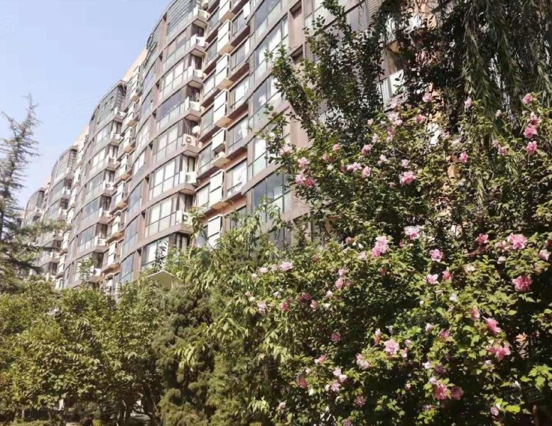 风林绿洲,大屯路-北京风林绿洲二手房,租房,房价-北京安居客