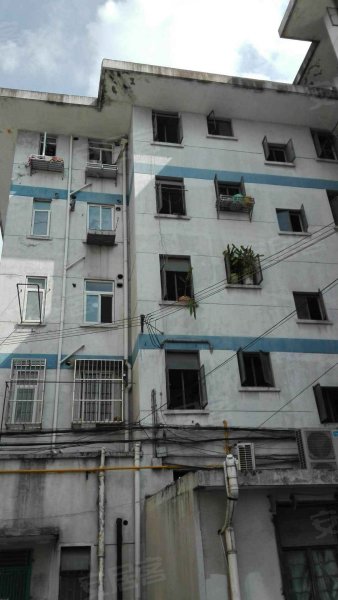 莘浜路157弄小区 