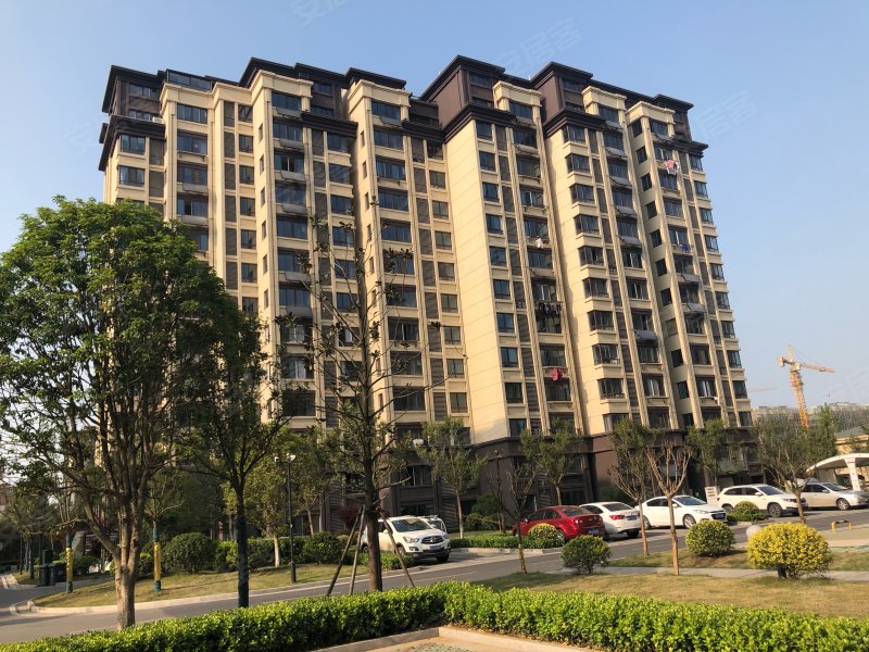 东骏华府,来安大道,近新城大道