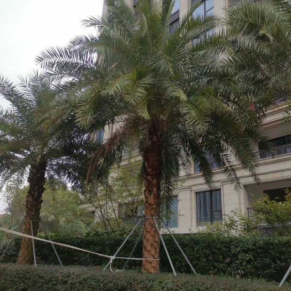 天悦年华,富民路-台州天悦年华二手房,租房,房价-台州安居客