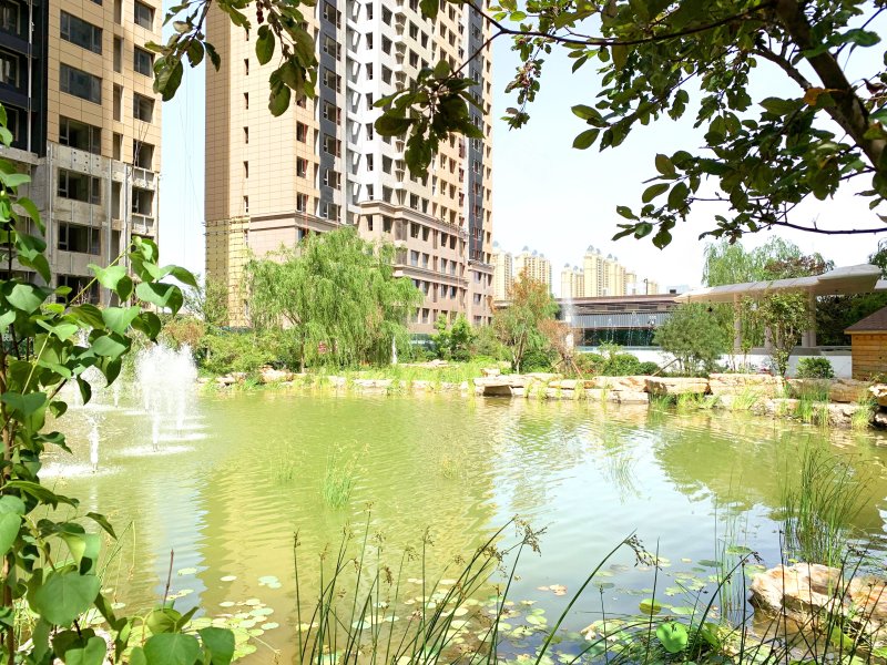 悦湖庄园,南环西路-衡水悦湖庄园二手房,租房,房价-衡水安居客