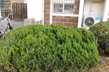 绿地银春住宅小区