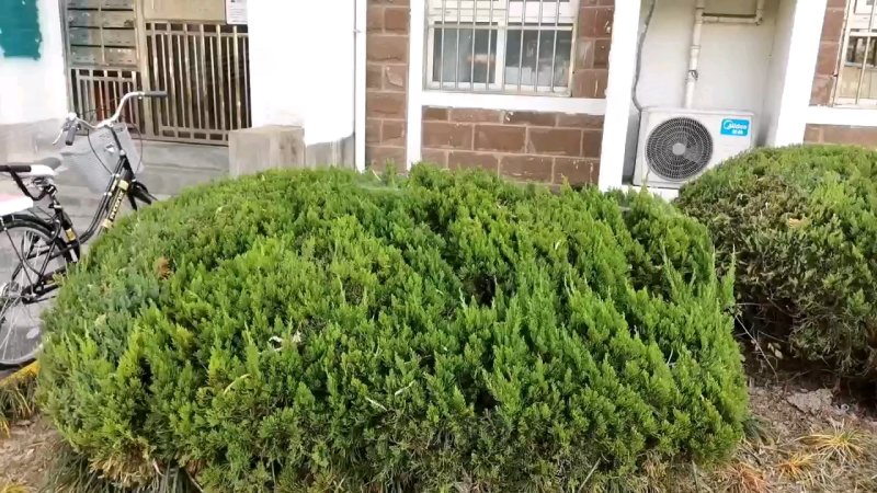 绿地银春住宅小区 