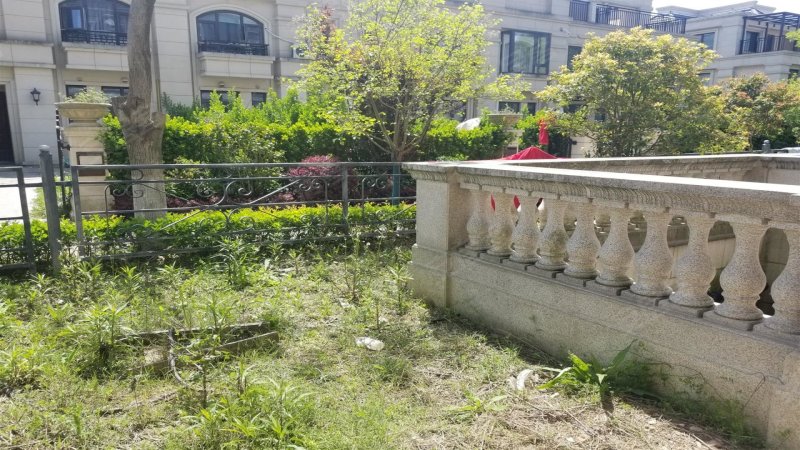 路劲上海庄园(别墅) 