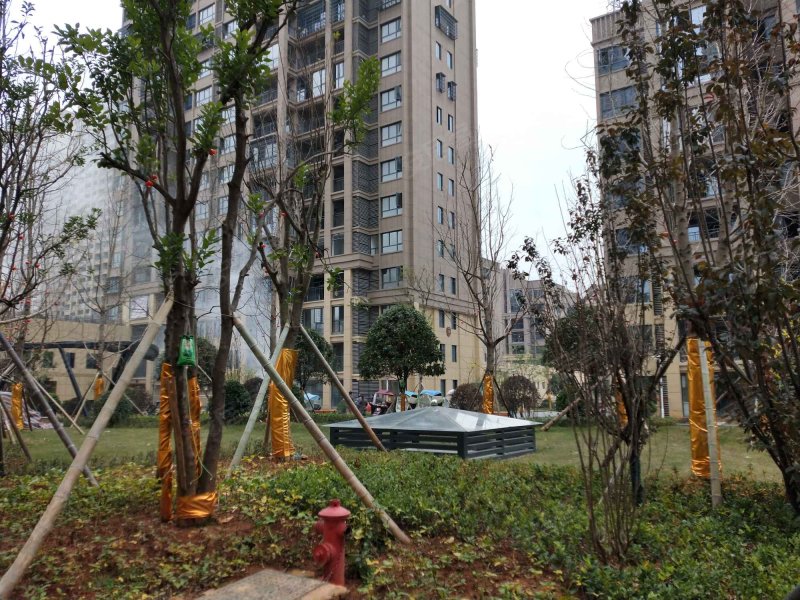 嘉悦城,花炮大道201号-长沙嘉悦城二手房,租房,房价-长沙安居客