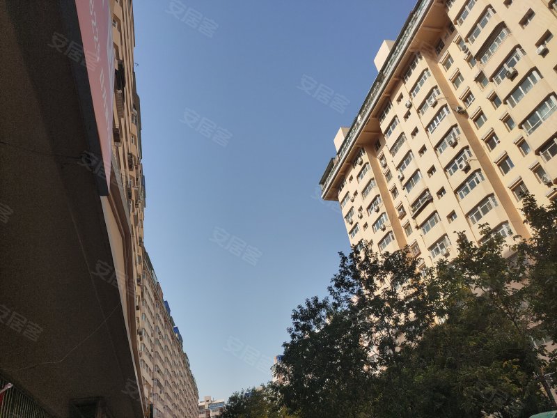 日月星光花园月光小区,青年路356号-乌鲁木齐日月星光花园月光小区