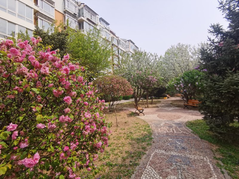 澳林春天(三期)