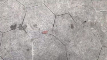 三湘海尚城(别墅) 