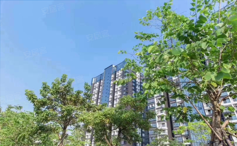 塘头村一坊,华夏路-深圳塘头村一坊二手房,租房,房价-深圳安居客