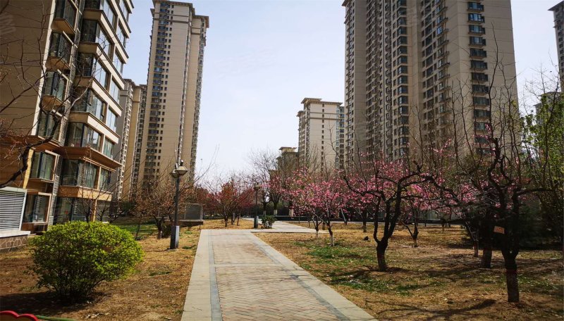 金谈固国瑞城(e区)