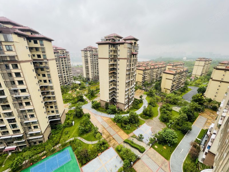 南岸花城春天里