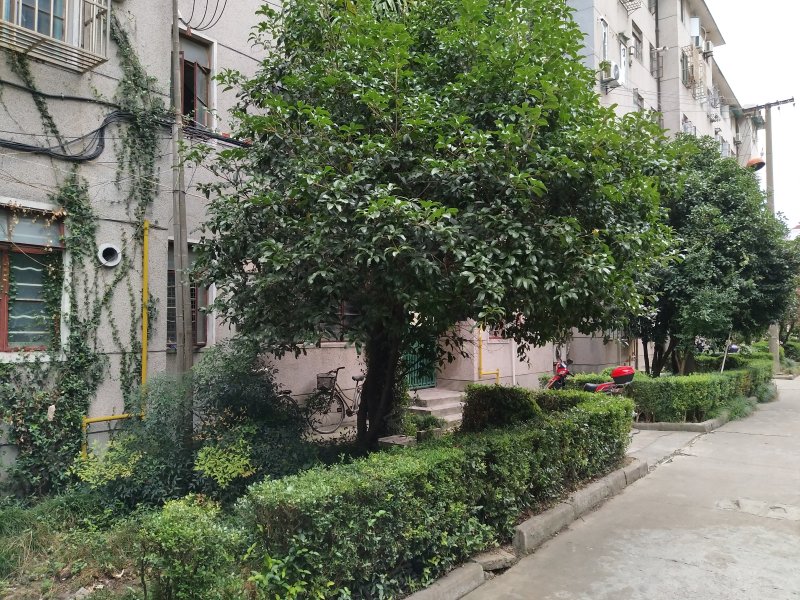 北大街108弄小区 