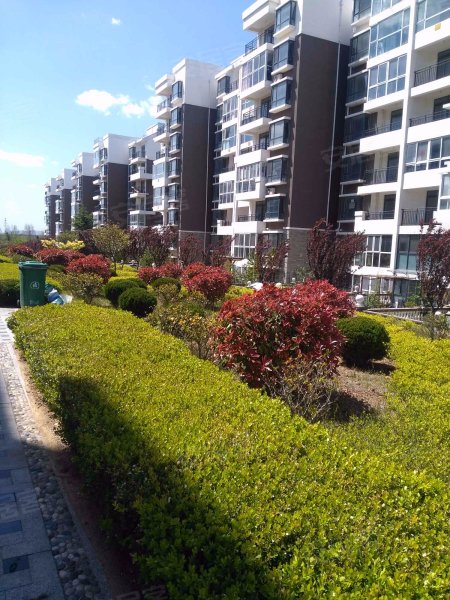 山海逸居,环海西路6号-青岛山海逸居二手房,租房,房价-青岛安居客