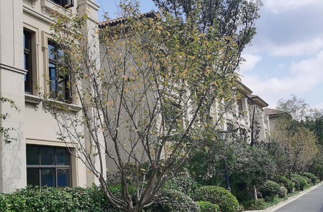 【山水御墅(别墅)二手房,义乌山水御墅(别墅)二手房出售信息】- 上海