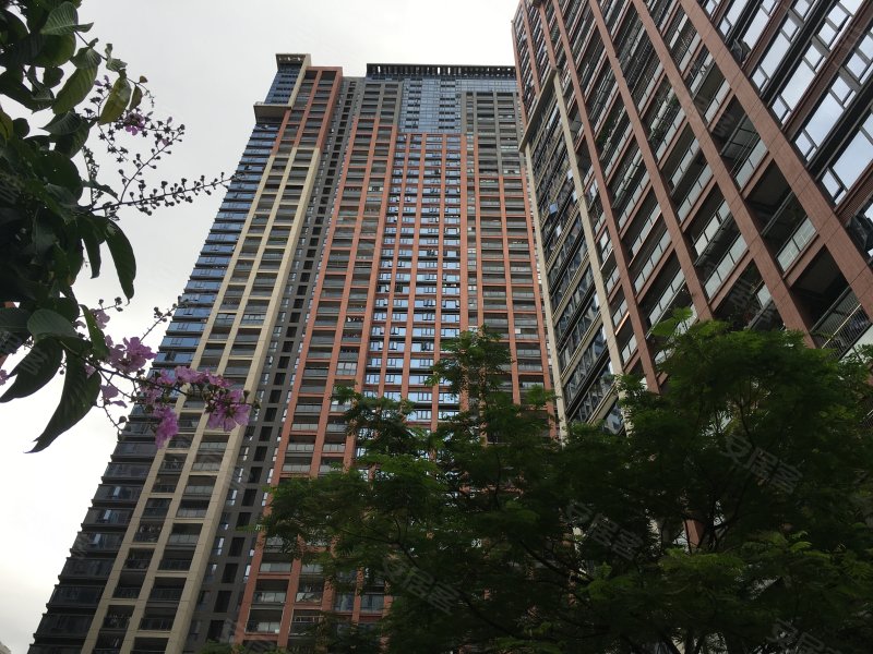 合正荣悦府,文锦中路2014号-深圳合正荣悦府二手房,租房,房价-深圳
