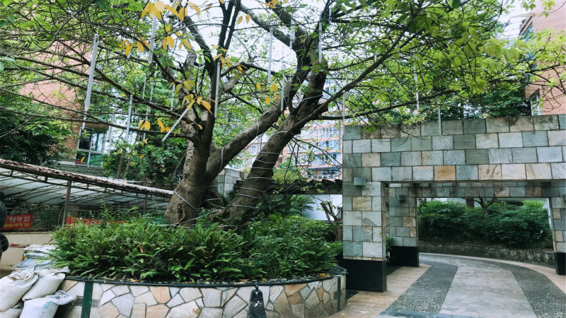 龙府花园,南京路33号-成都龙府花园二手房,租房,房价-成都安居客
