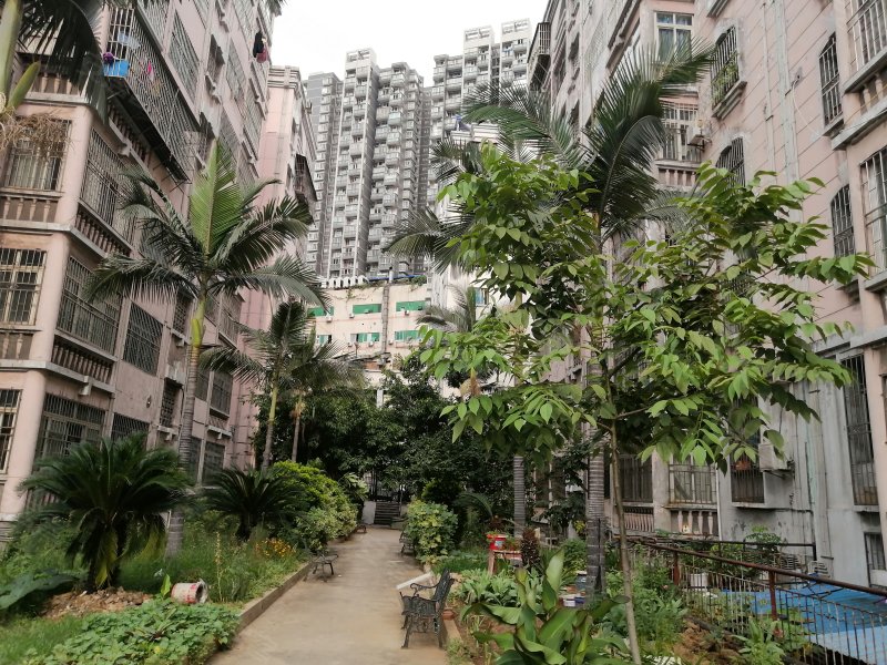 凤凰城,凰东街6号-攀枝花凤凰城二手房,租房,房价-攀枝花安居客