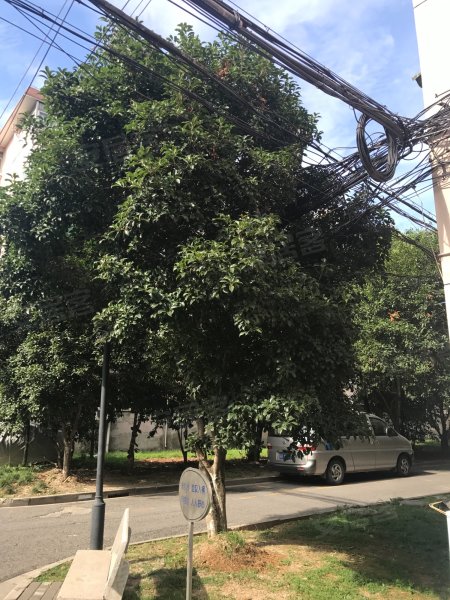 航华二村二街坊 