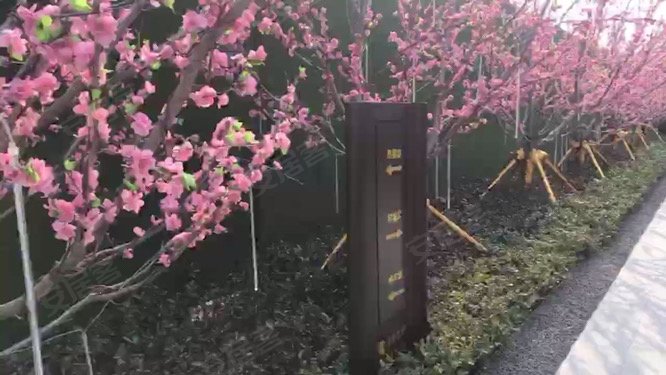 天一仁和宸璟锦里