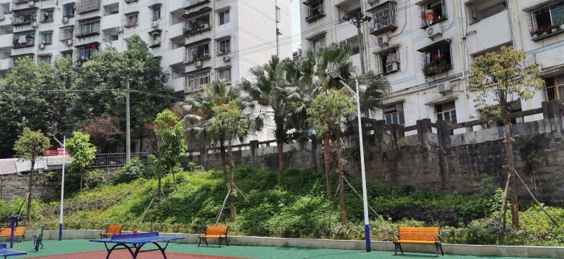 百安新村,上海支路39号-重庆百安新村二手房,租房,房价-重庆安居客