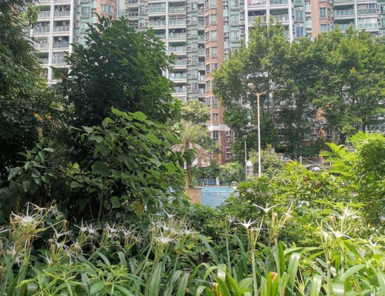 富力阳光美居,黄石西路9号-广州富力阳光美居二手房,租房,房价-广州