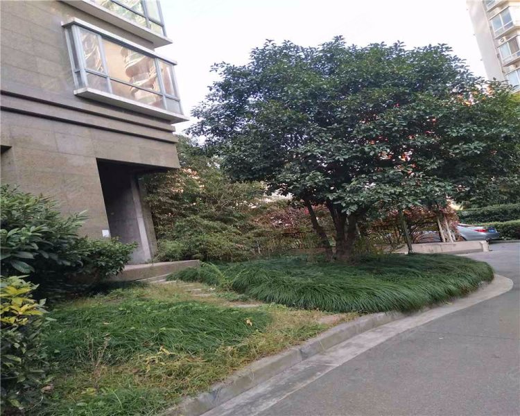 滨江兰庭,浦城路786弄-上海滨江兰庭二手房,租房,房价-上海安居客