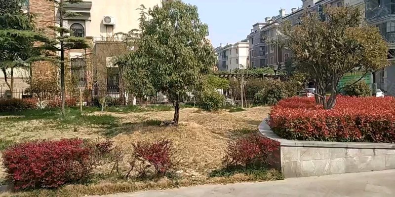 白马庄园(别墅),文化东路11号-枣庄白马庄园(别墅)二手房,租房,房价