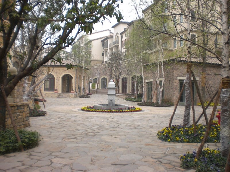 麓山国际帕萨迪纳2组