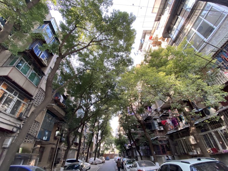 小东门电建一公司宿舍,民主二路63号-武汉小东门电建一公司宿舍二手房