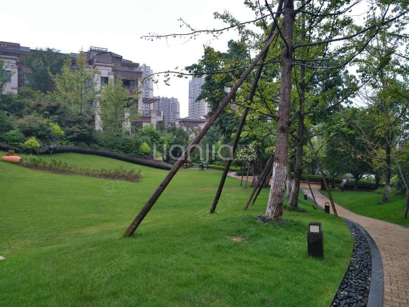 约克郡翠微堤,怡和路9号-重庆约克郡翠微堤二手房,租房,房价-重庆安居