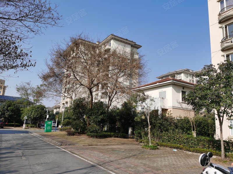 黄山碧桂园