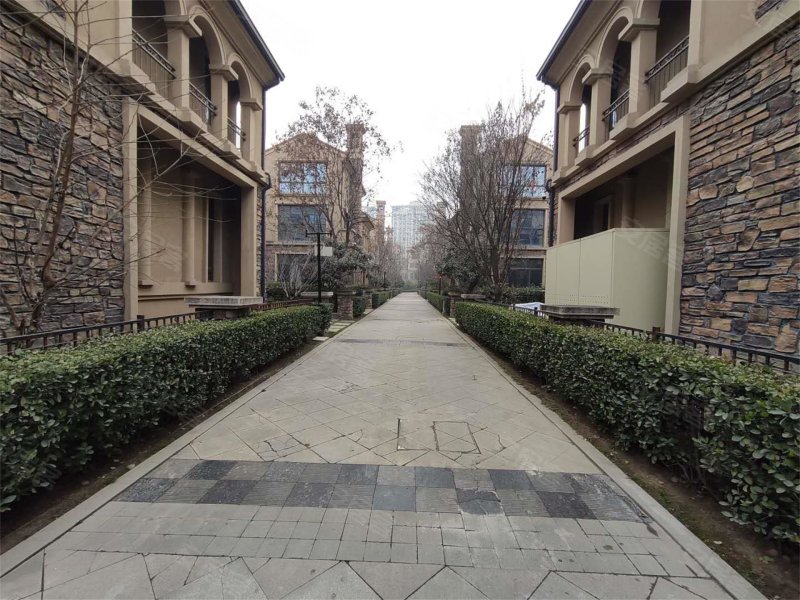 绿地国际生态城一期