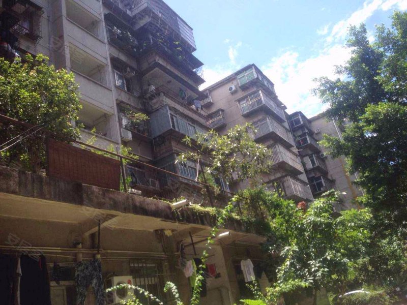 红岗西村,红岗路1005号-深圳红岗西村二手房,租房,房价-深圳安居客