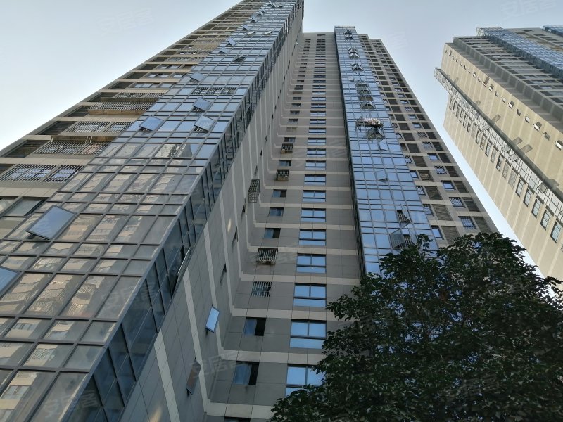 世欧王庄十一区