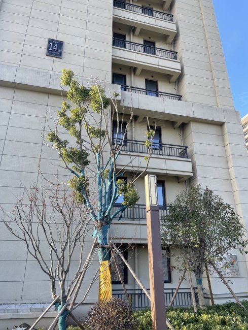 房东急售 蓝光雍锦湾 双卫生间 次新房 板楼 看房随时