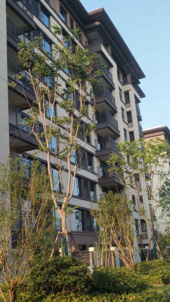 建业春天里(项城),建设路-项城建业春天里(项城)二手房,租房,房价