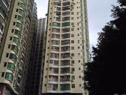大芬小区图片