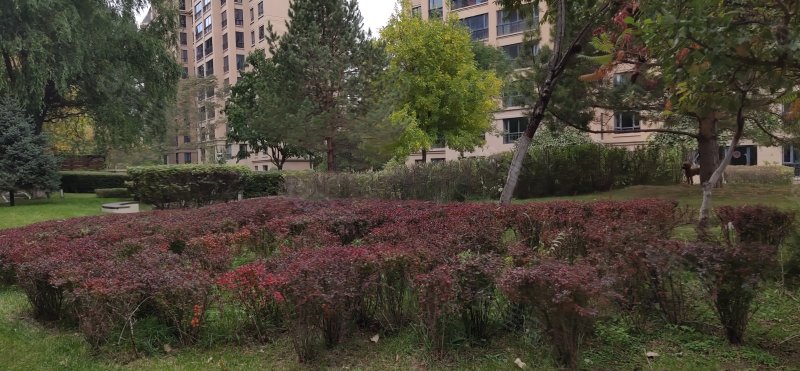 东岸国际(一期)