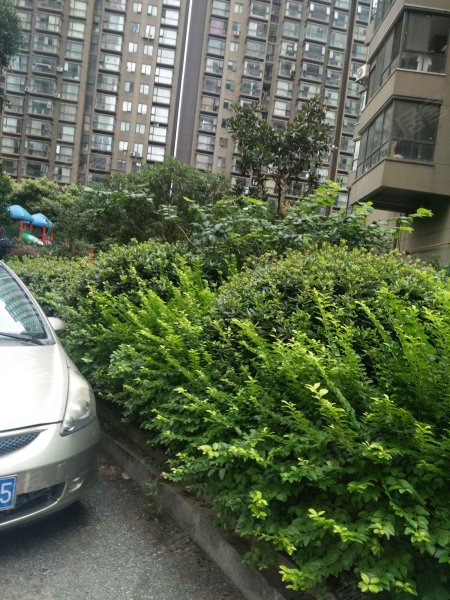 盛世荷园小区,荷花池11号-长沙盛世荷园小区二手房,租房,房价-长沙