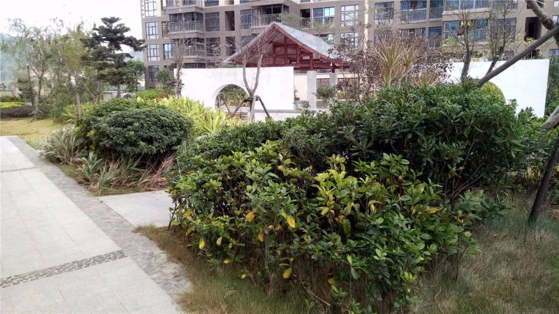 伴山御景,世纪大道300号-晋江伴山御景二手房,租房,房价-晋江安居客