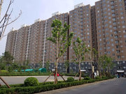 岳各庄小区图片