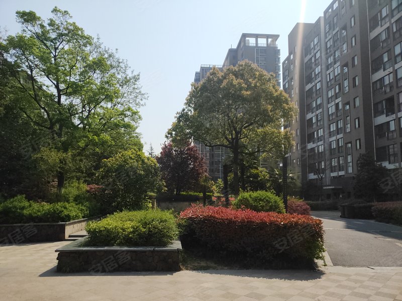 大溪地天泽轩,黄山路588号-合肥大溪地天泽轩二手房,租房,房价-合肥
