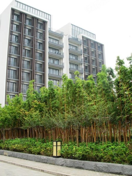 信达泰禾上城院子(公寓住宅) 