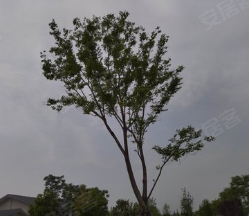 雨花西路57号小区